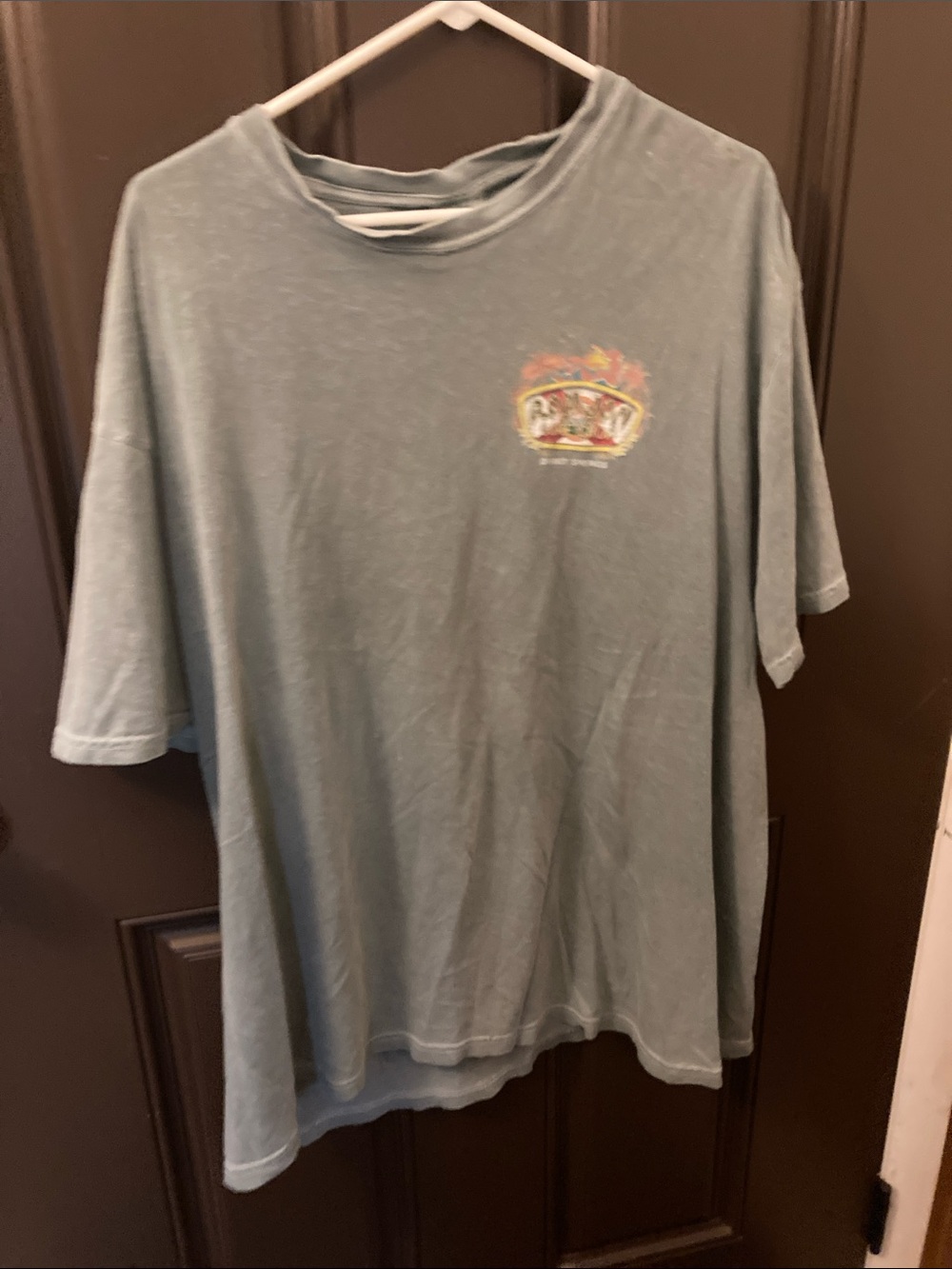 Ron Jon Washed Teal Short-Sleeve Graphic T-Shirt